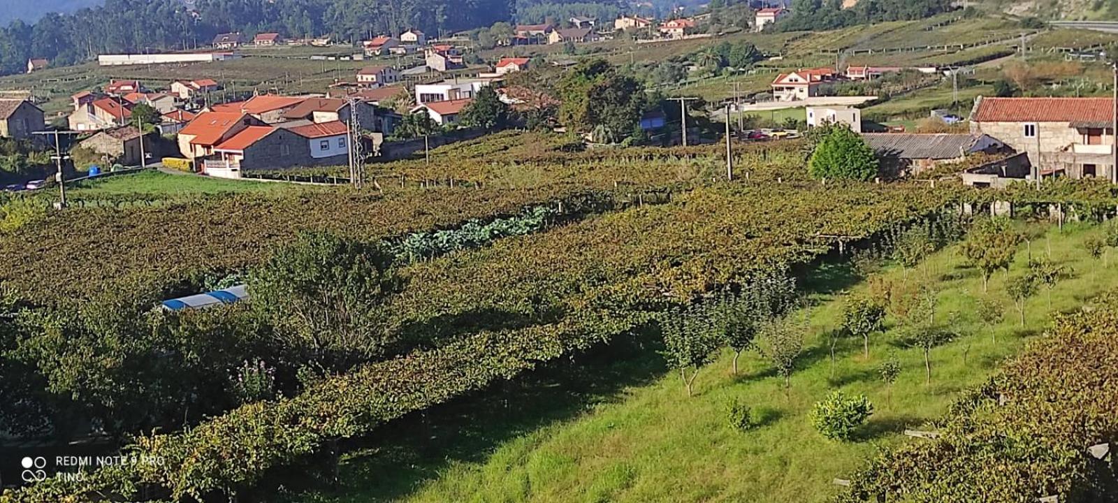 Casa Rodino Hotel Meaño Eksteriør billede